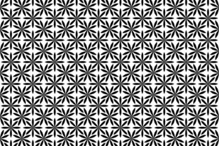 Exploring the Elegance of Monochrome Geometrical Patterns